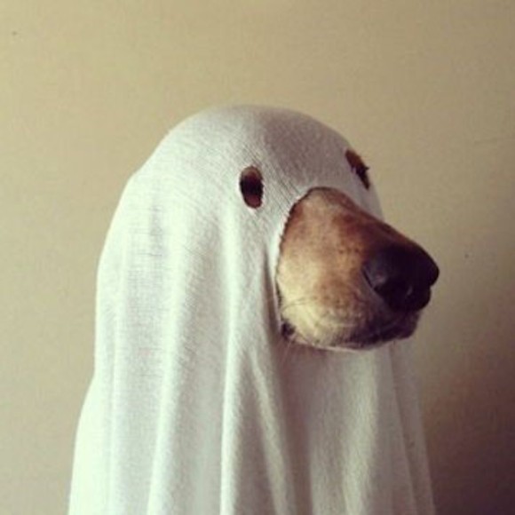 Meet your Posher, Hitoshi - Picture 1 of 1